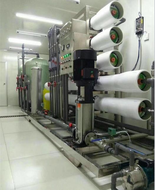 6吨双级纯净水设备