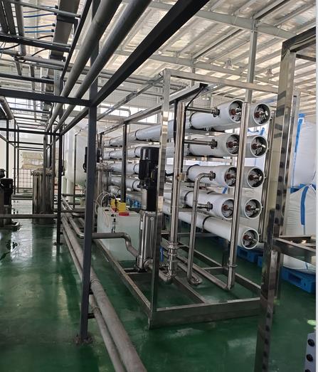 20吨双级纯净水设备